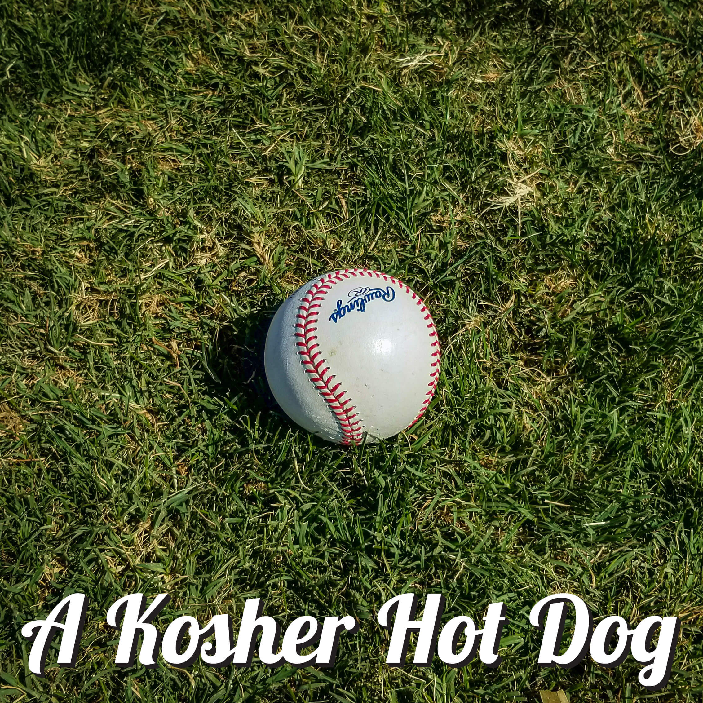 A Kosher Hot Dog