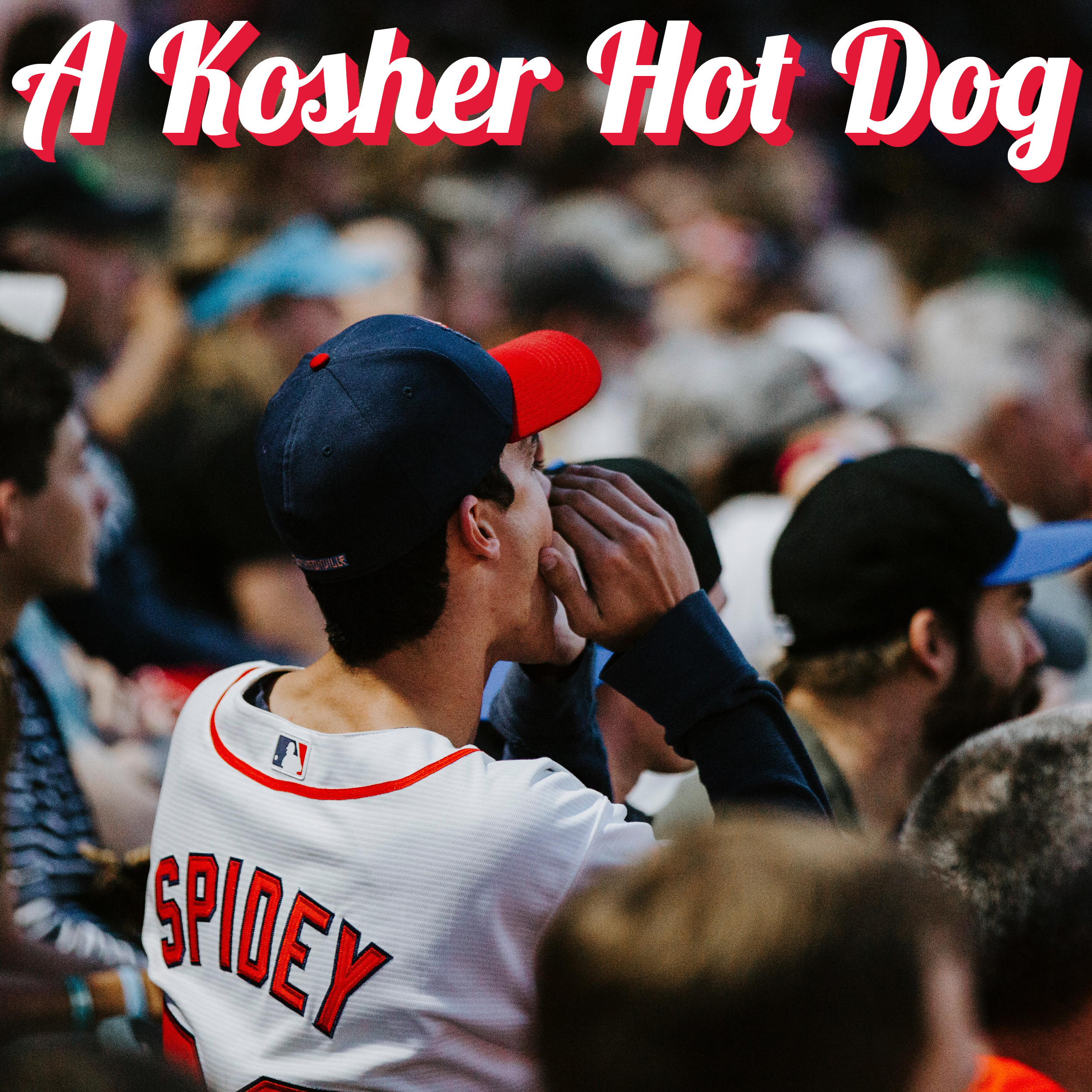A Kosher Hot Dog