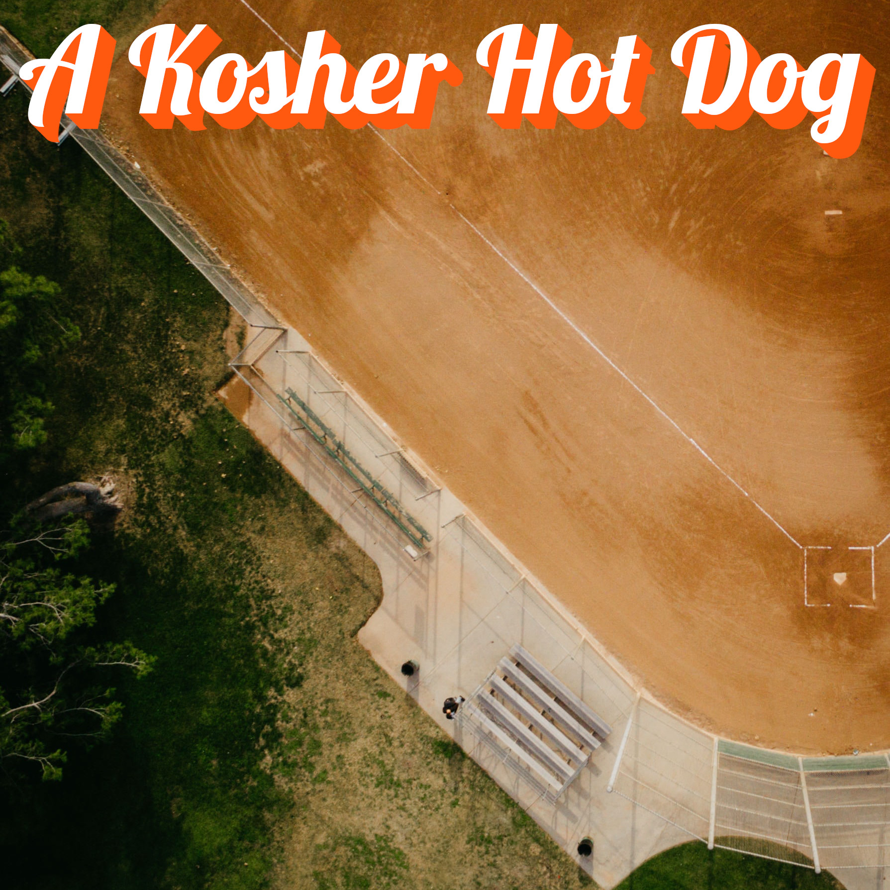A Kosher Hot Dog