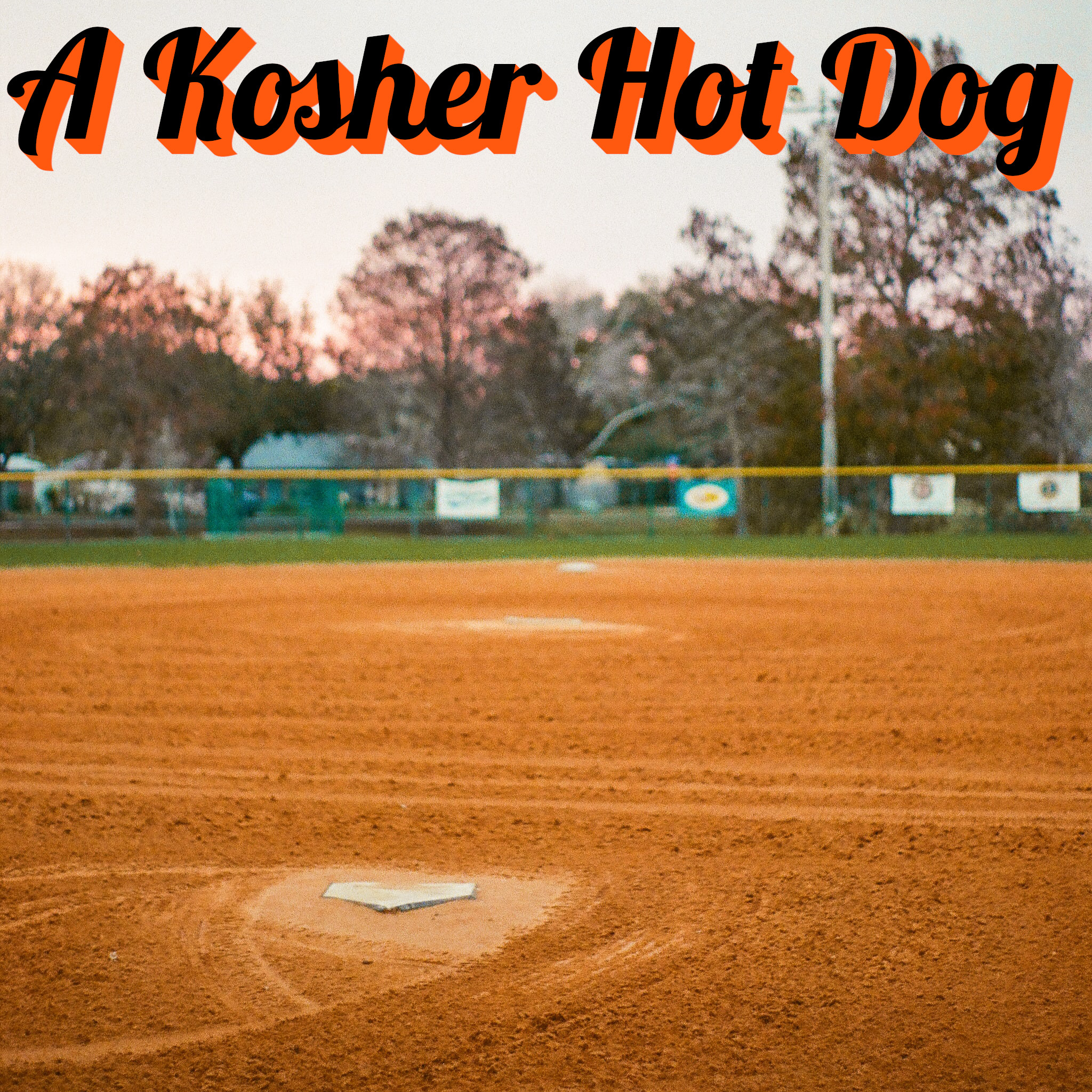 A Kosher Hot Dog