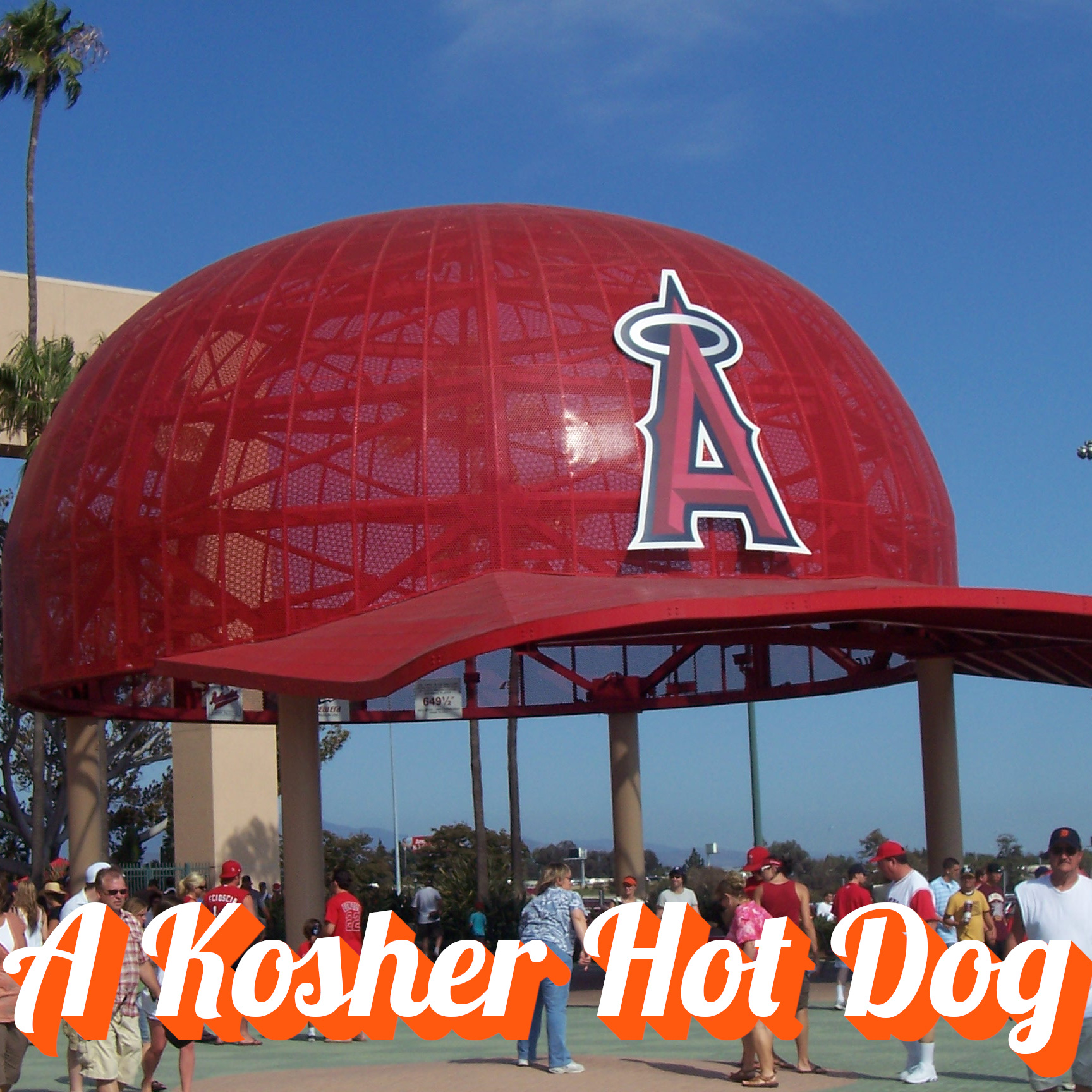 A Kosher Hot Dog