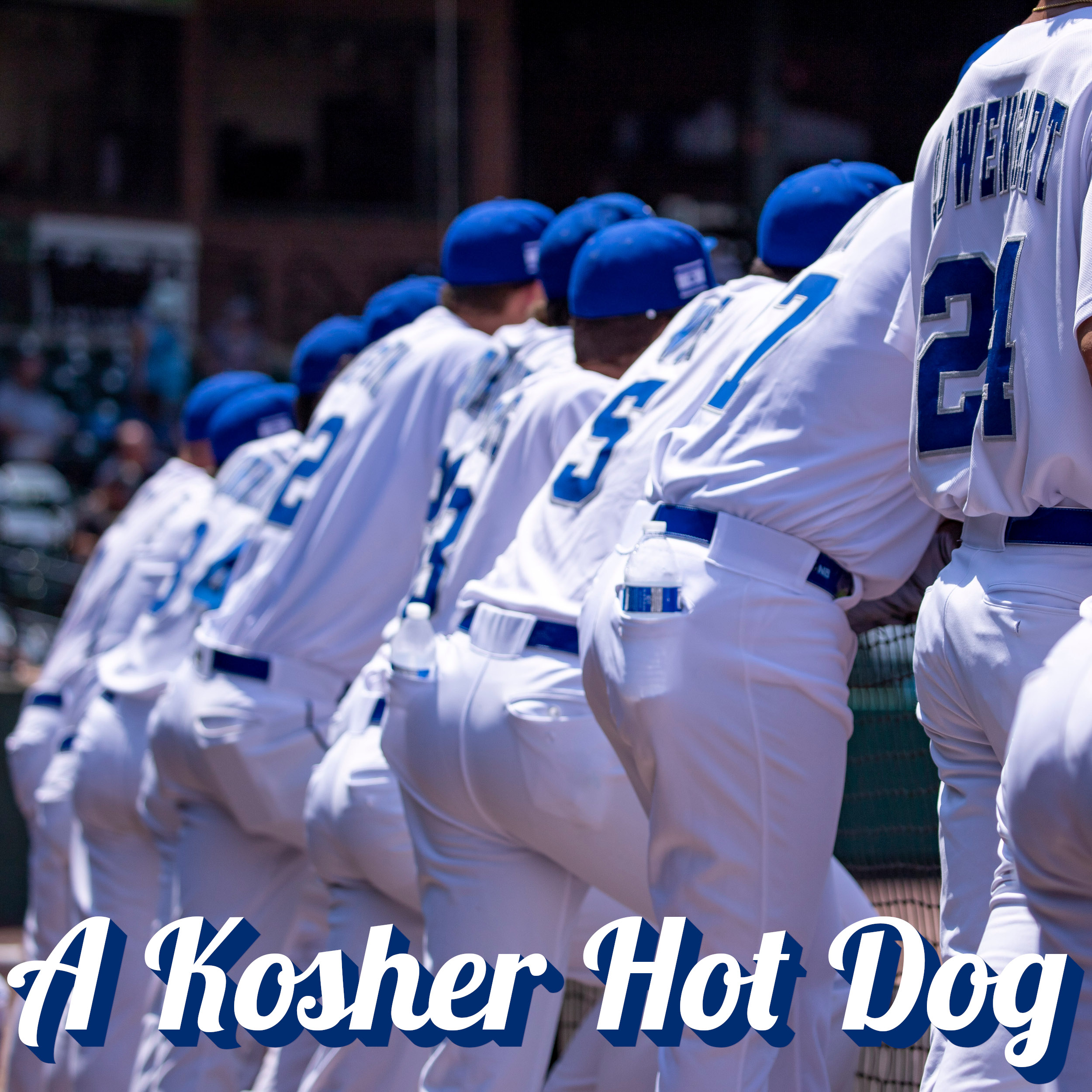 A Kosher Hot Dog