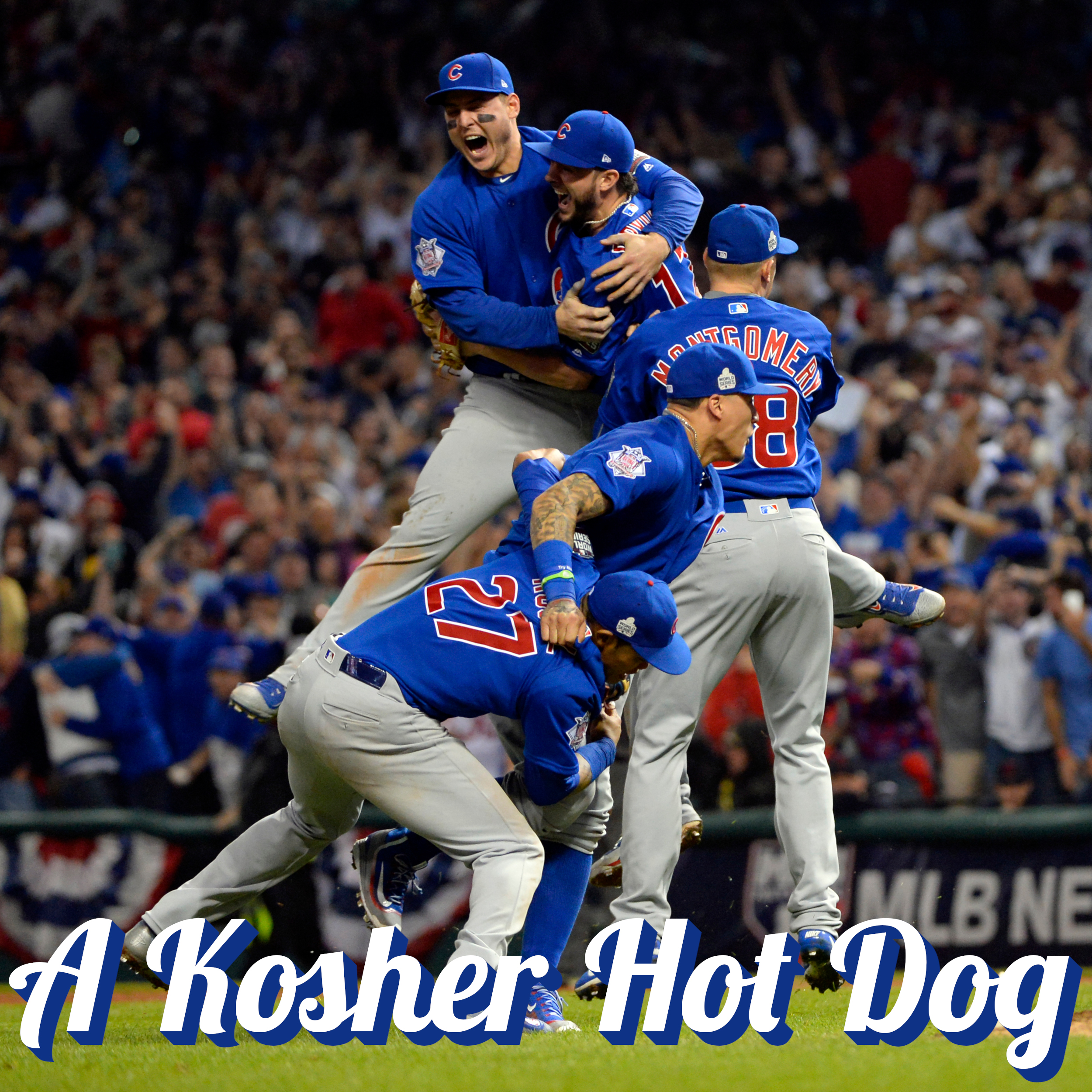 A Kosher Hot Dog