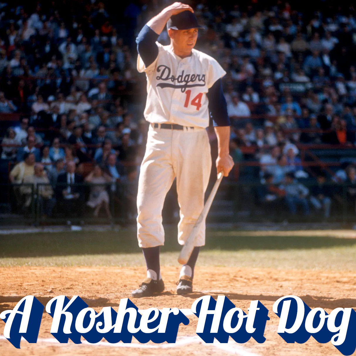 A Kosher Hot Dog