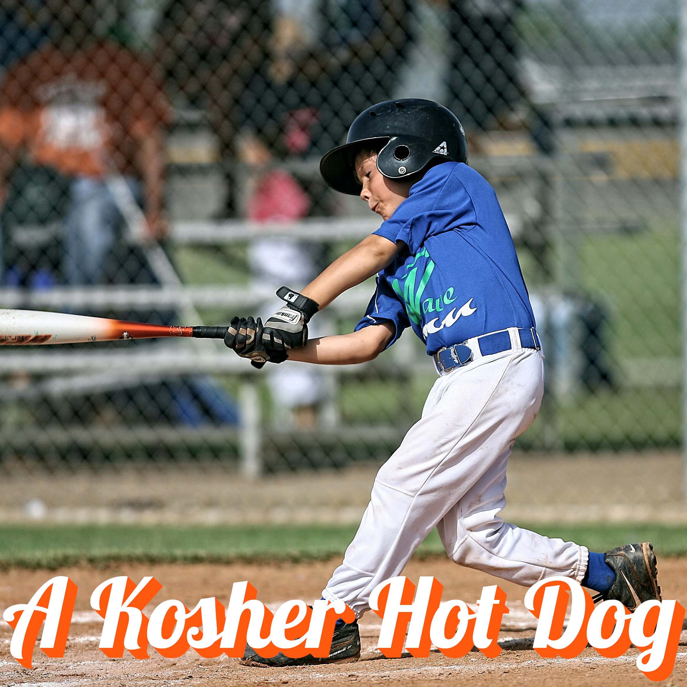 A Kosher Hot Dog