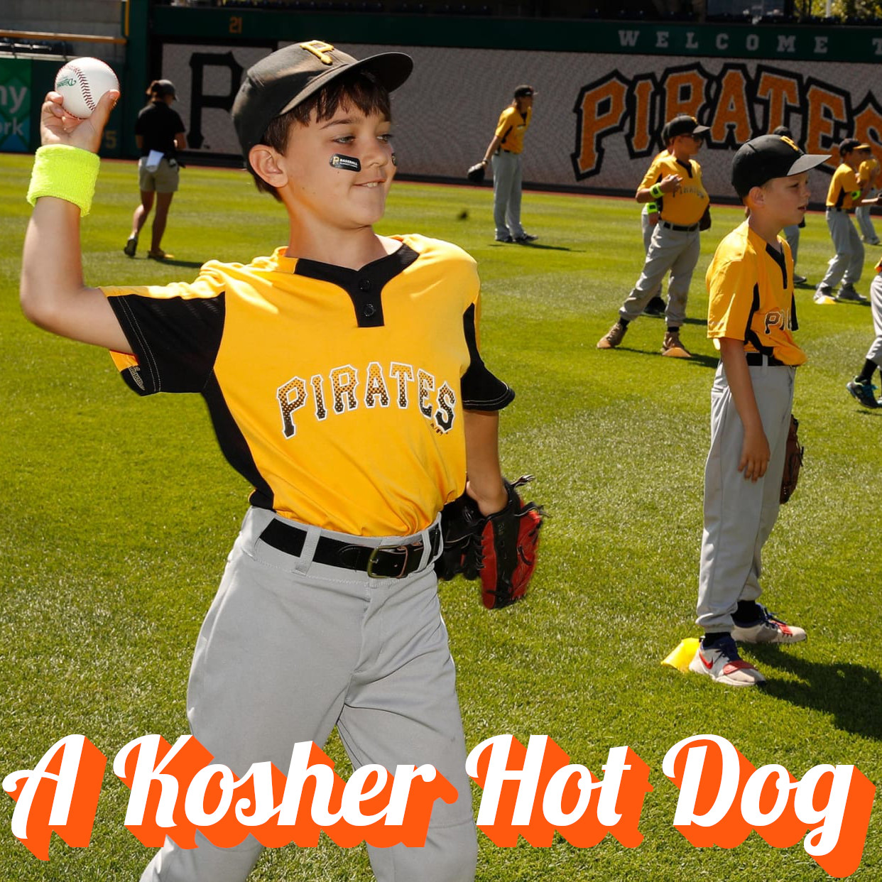 A Kosher Hot Dog