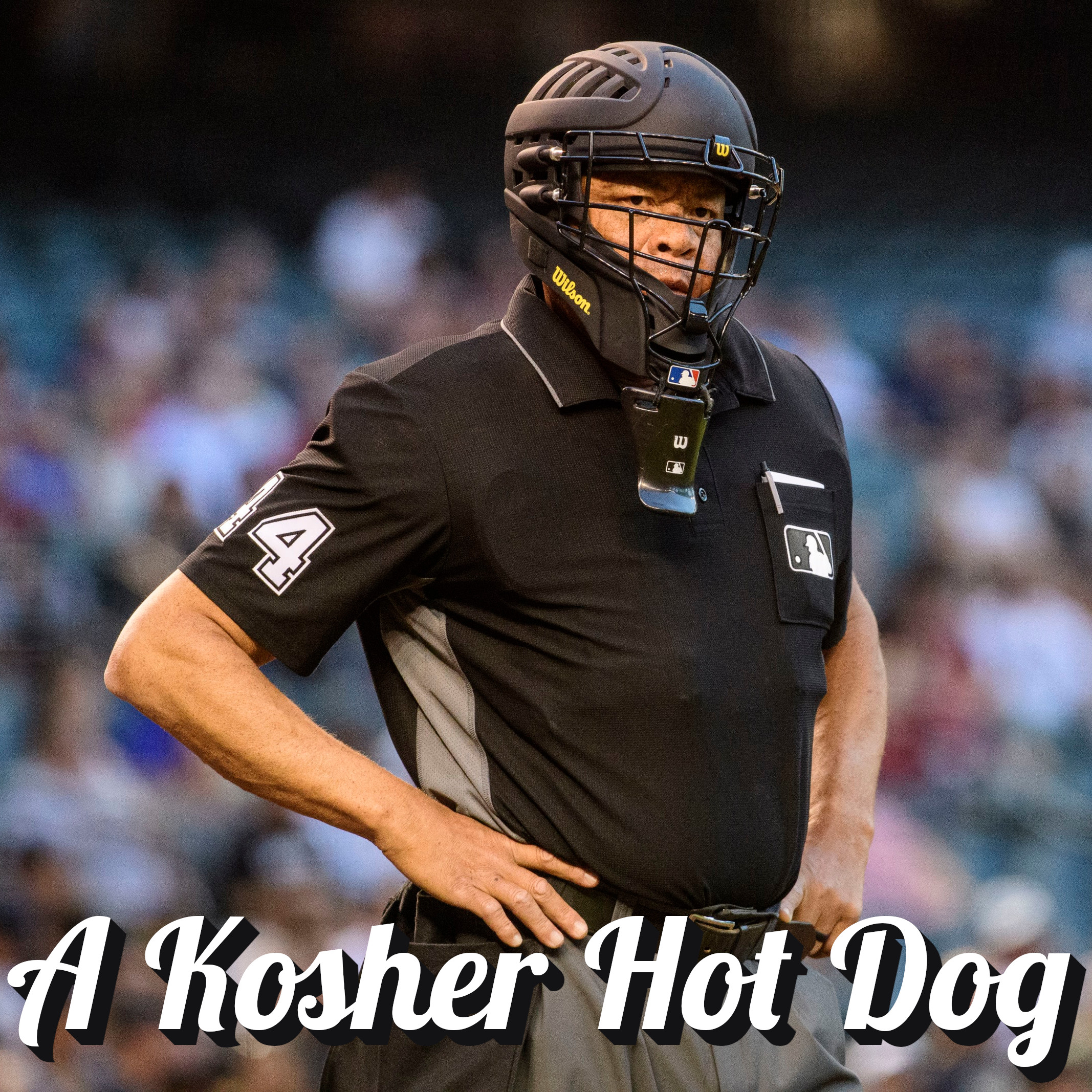 A Kosher Hot Dog