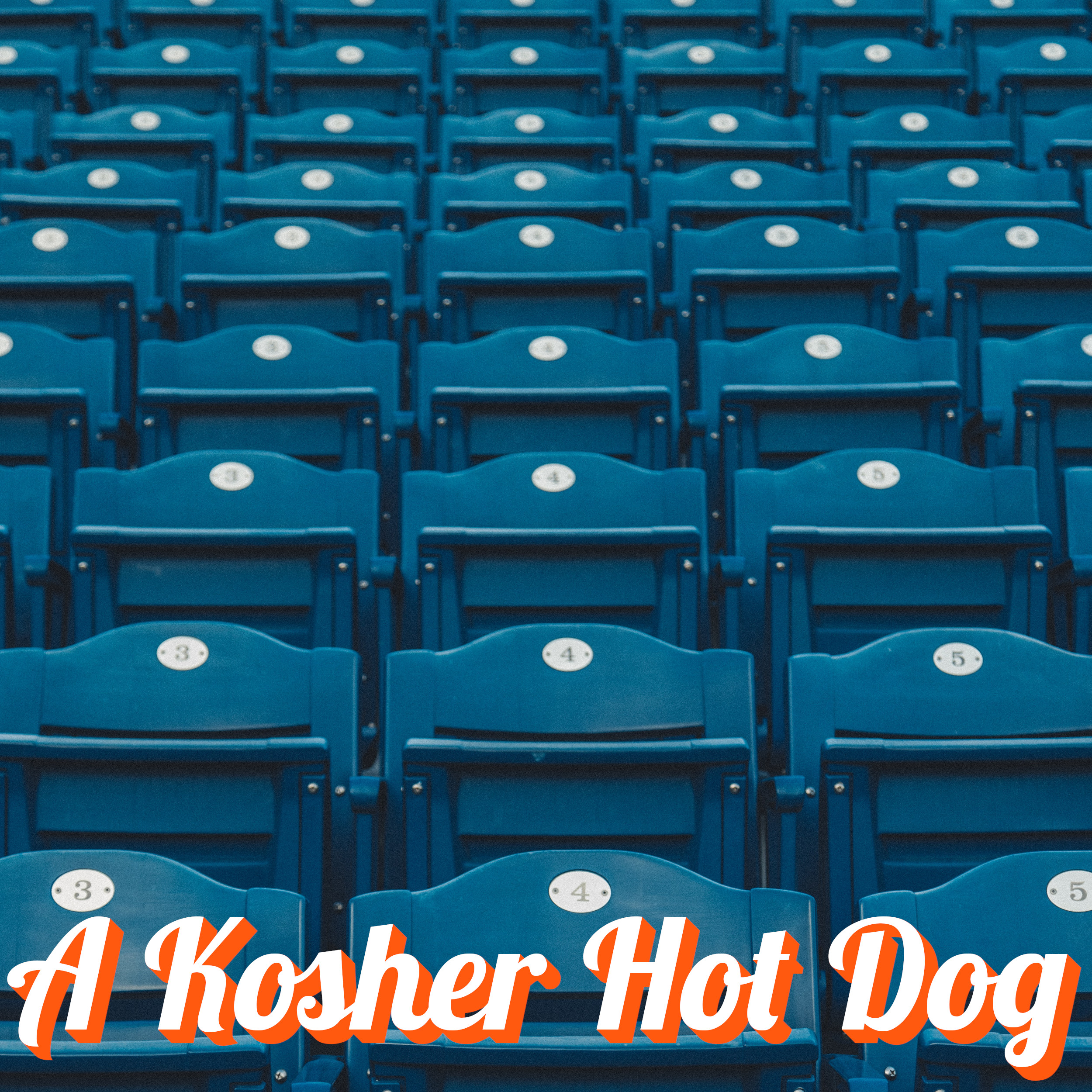 A Kosher Hot Dog