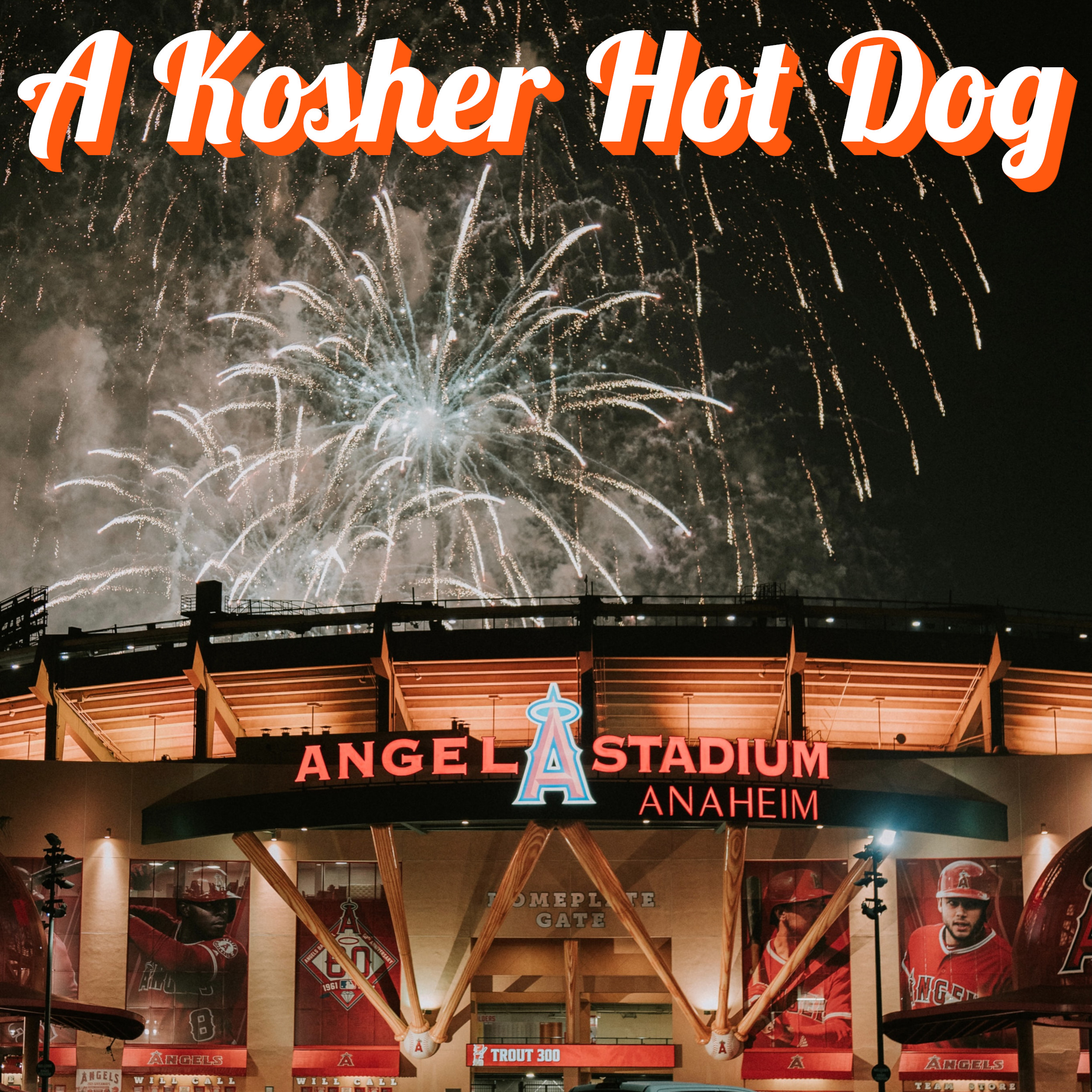 A Kosher Hot Dog