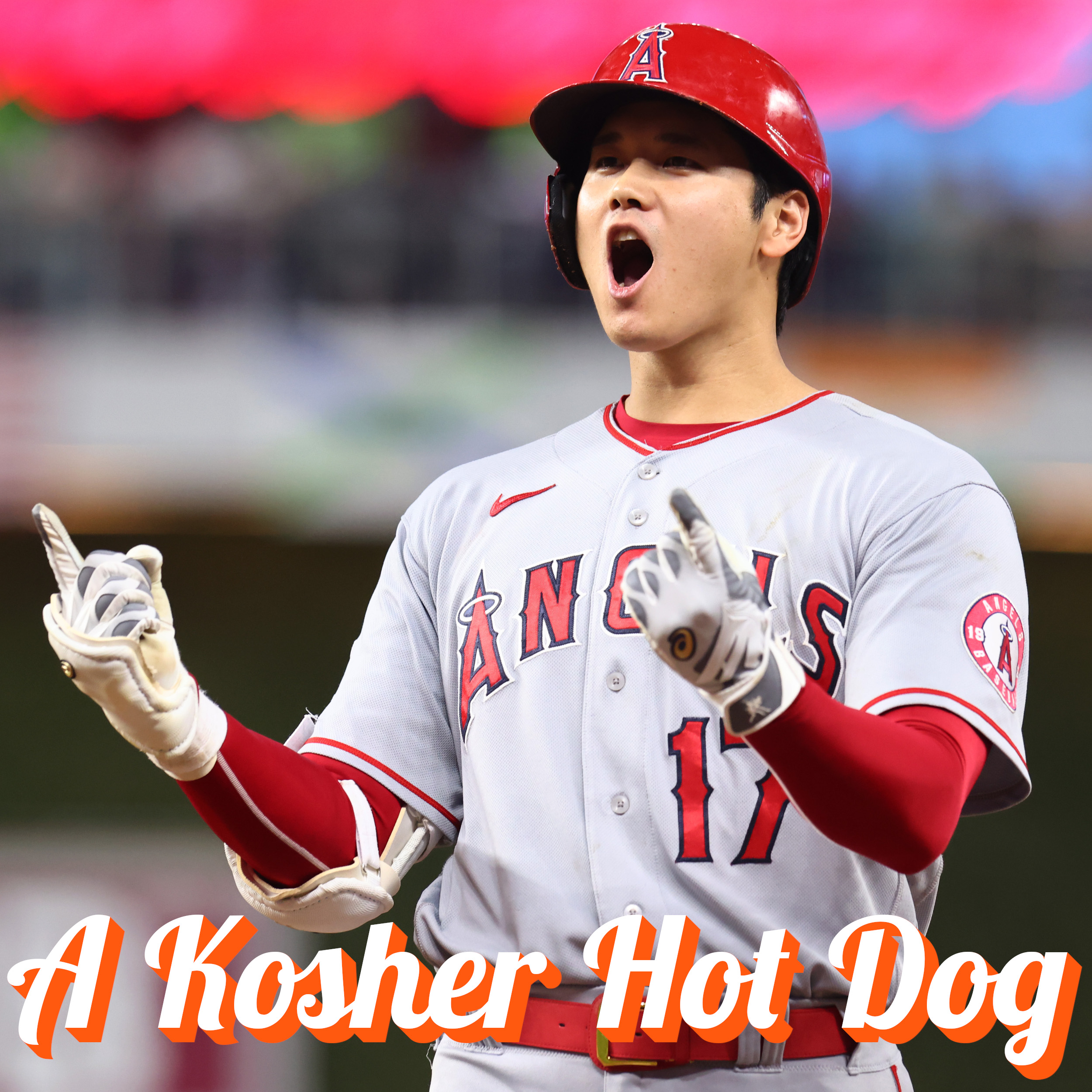 A Kosher Hot Dog