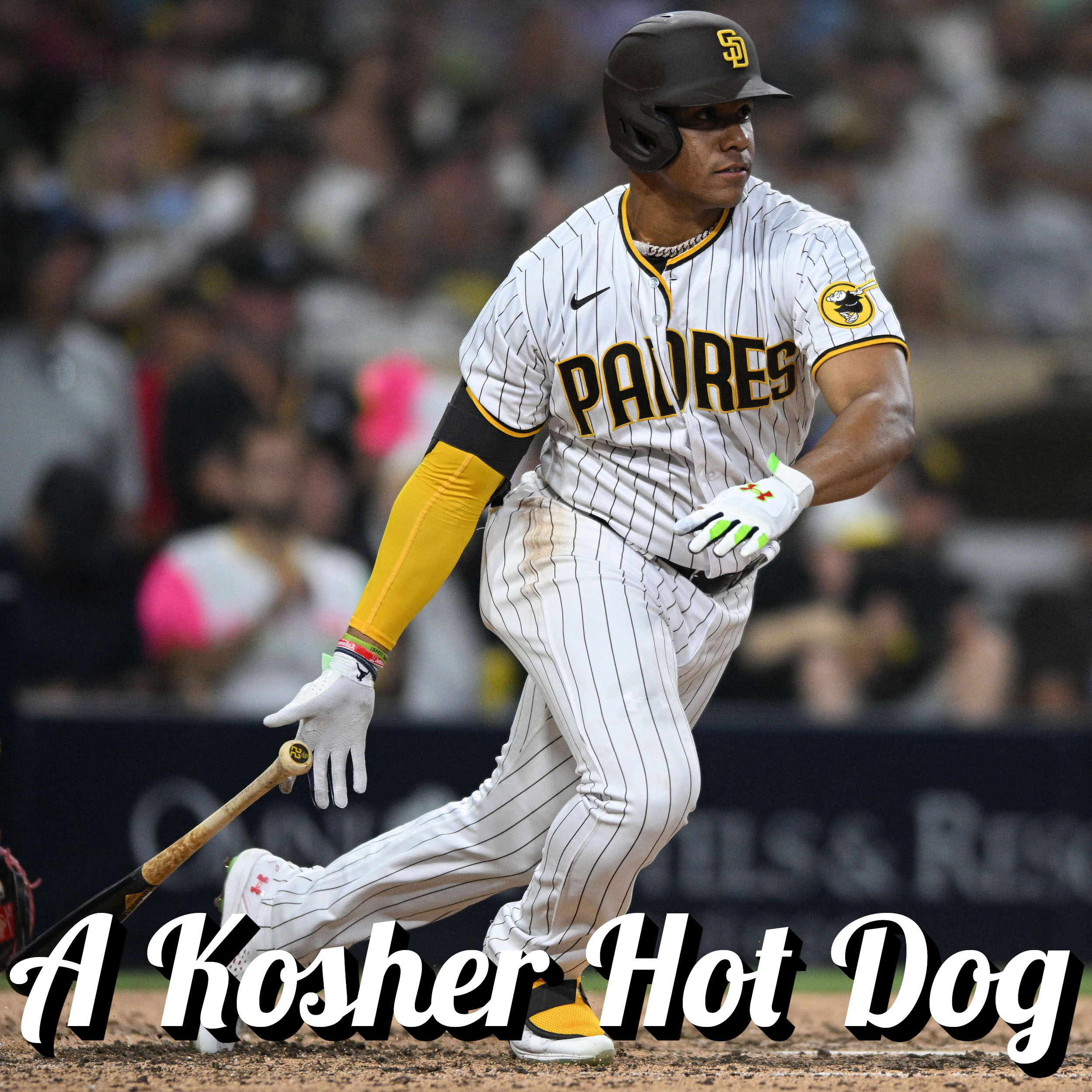 A Kosher Hot Dog