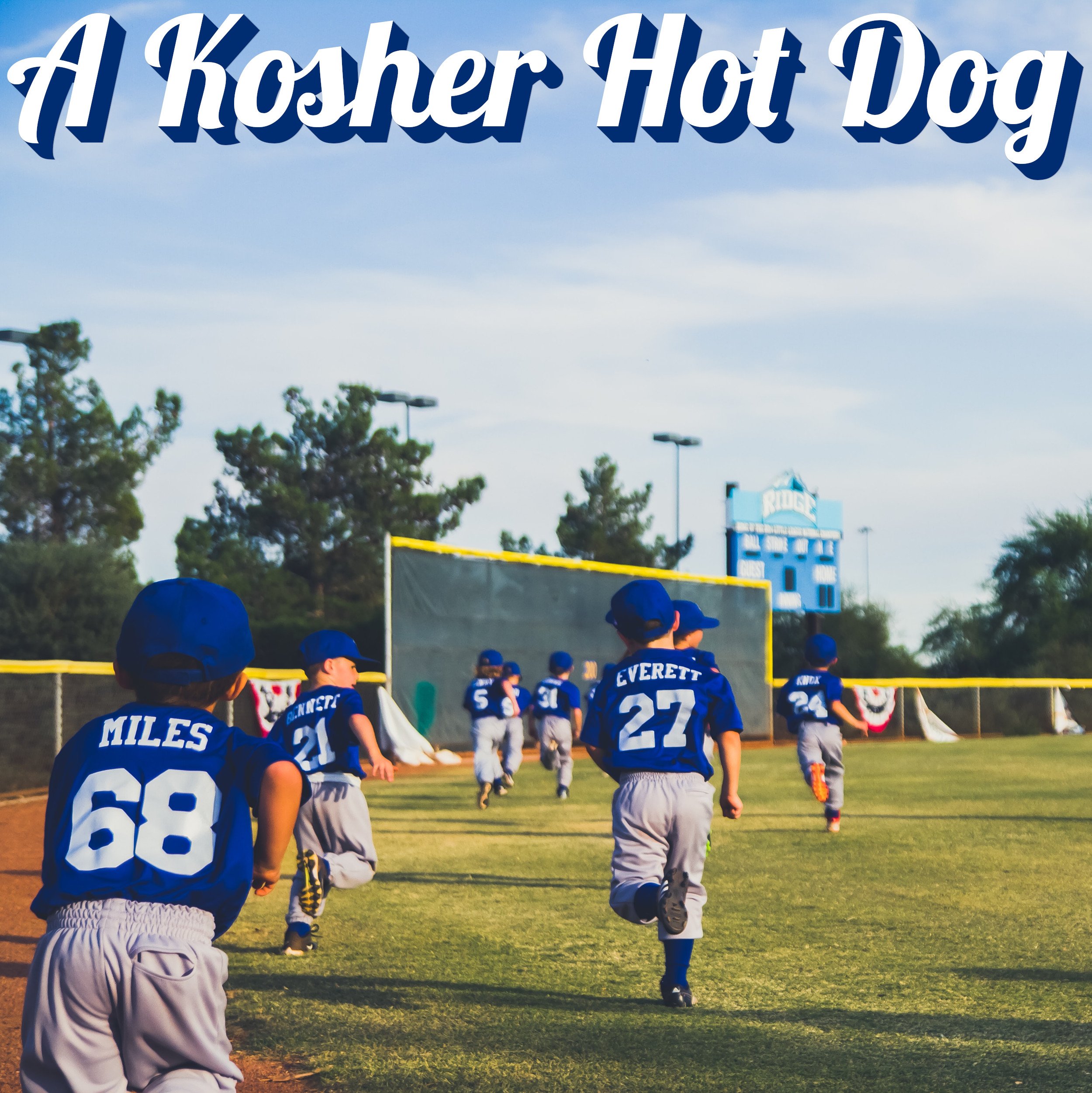 A Kosher Hot Dog