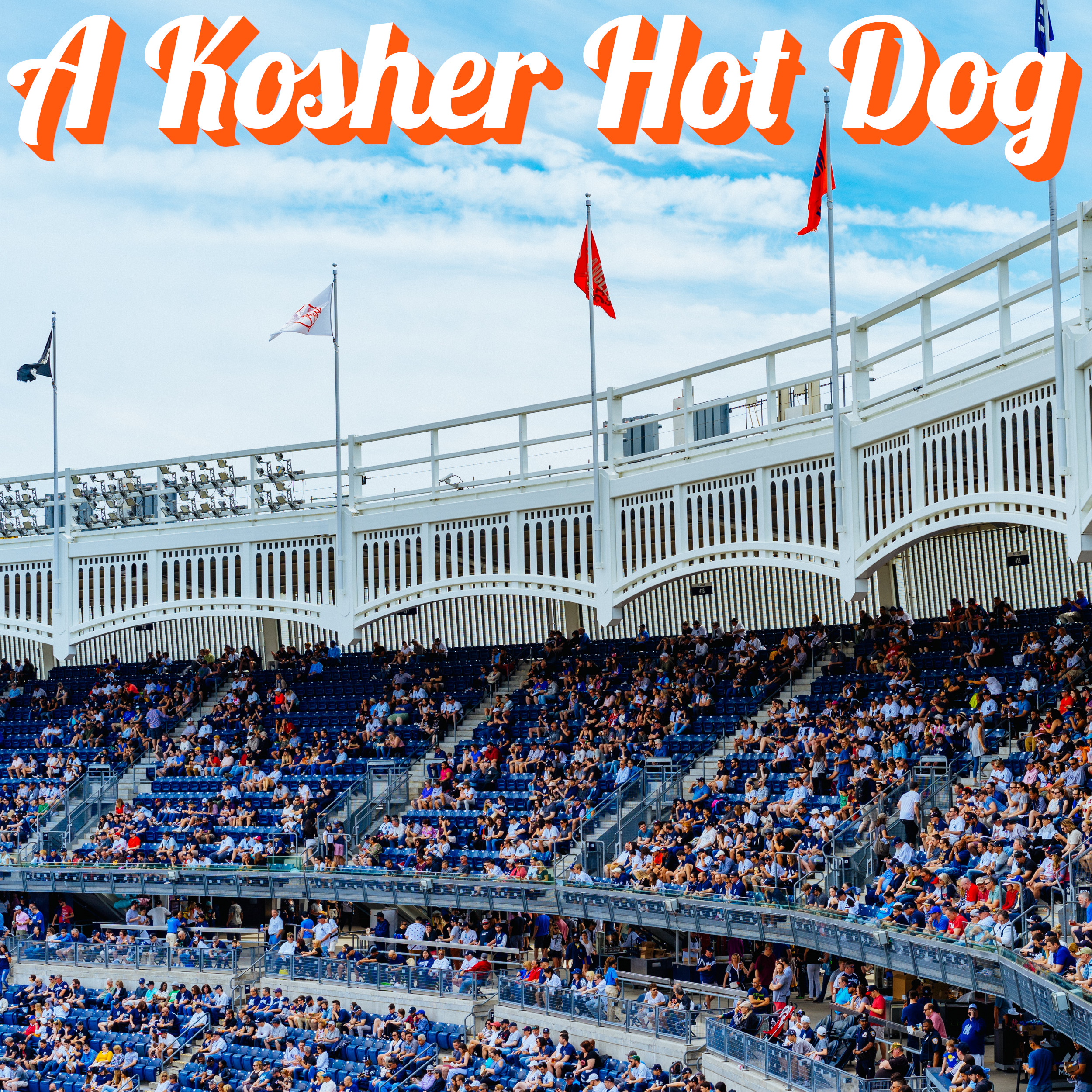A Kosher Hot Dog